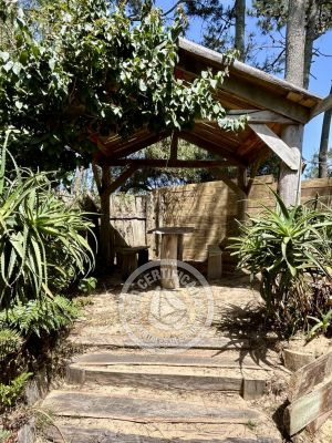 Punta Avellaneda - 2 Punta del Diablo