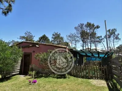 Cabaña Punta Avellaneda - 4 Punta del Diablo