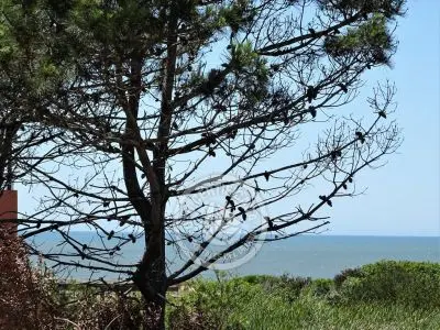 Mar Gordo - Camarón - Punta del Diablo