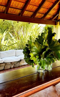 House La Escondida  Bella Vista