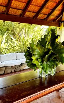 Casa La Escondida  Bella Vista