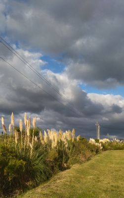 House La Escondida  Bella Vista