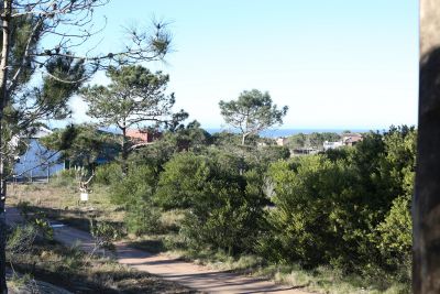 Cabin PRAIA PETIT  Punta del Diablo