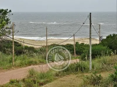 Lo de Daniel - Punta del Diablo