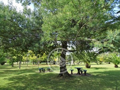 Pueblo Edén - Maldonado