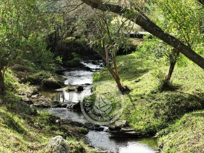 Pueblo Edén - Maldonado