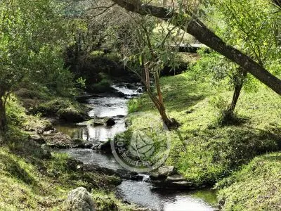 Pueblo Edén - Maldonado