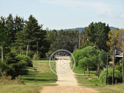 Pueblo Edén - Maldonado