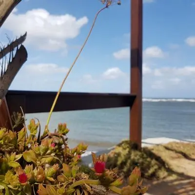 Casa Las Marianas La Paloma