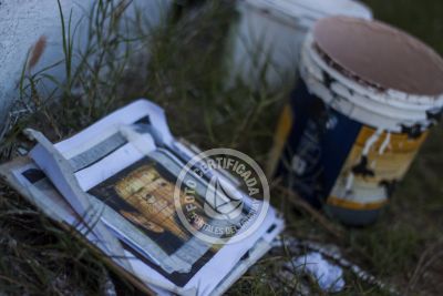 Museo al aire libre - Graffitis Jose Gallino - Punta del Diablo