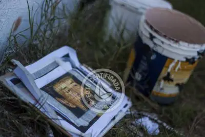 Museo al aire libre - Graffitis Jose Gallino - Punta del Diablo