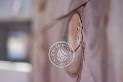 Museo al aire libre - Graffitis Jose Gallino - Punta del Diablo