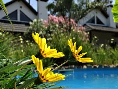 Bungalows Punta Colorada - Bungalow - Piriápolis