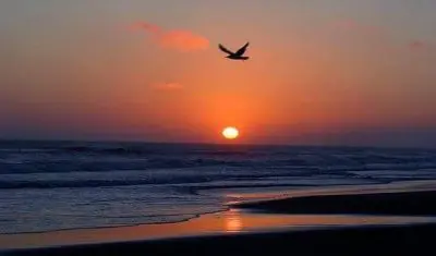 Casas|Cabanas|Aptos|Complexos ... CASA SOÑADA FRENTE AL MAR La Paloma