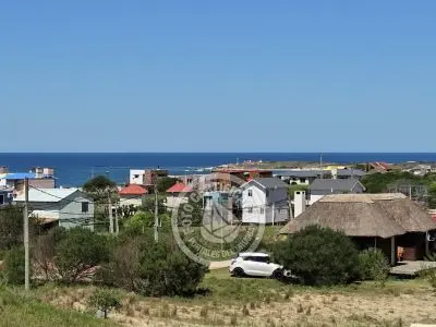 Estrella de la Viuda