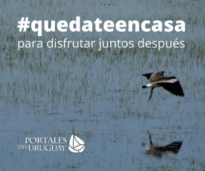 quedateencasa
