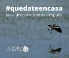 quedateencasa
