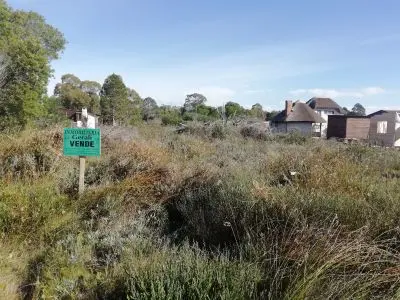 Manzana 24 solares 31