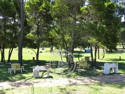 Campsites Camping Piriápolis Piriapolis