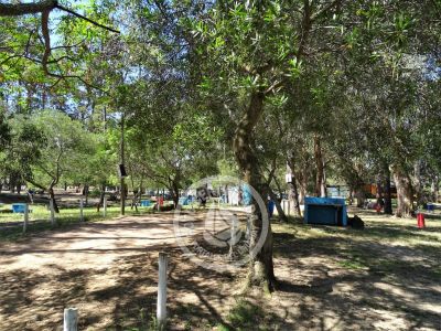 Camping Camping Piriápolis Piriápolis