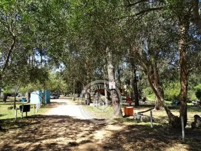 Campsites Camping Piriápolis Piriapolis