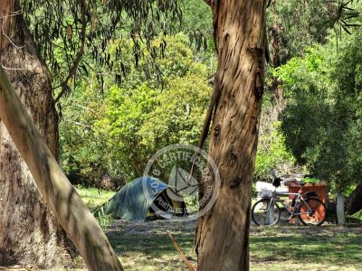 Camping Camping Piriápolis Piriápolis