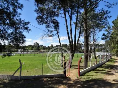 Campsites Camping Piriápolis Piriapolis