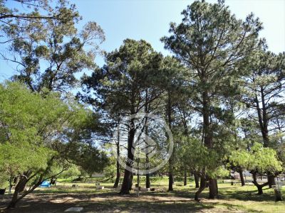 Camping Camping Piriápolis Piriápolis