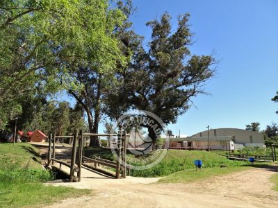 Camping Camping Piriápolis Piriápolis