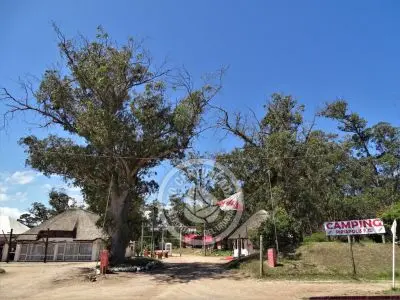 Campsites Camping Piriápolis Piriapolis