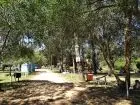 Campsites Camping Piriápolis Piriapolis
