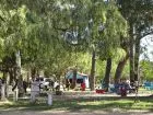 Campsites Camping Piriápolis Piriapolis
