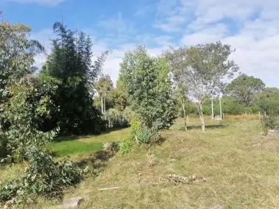 Lotes Manzana 18 solar 9 Punta del Diablo