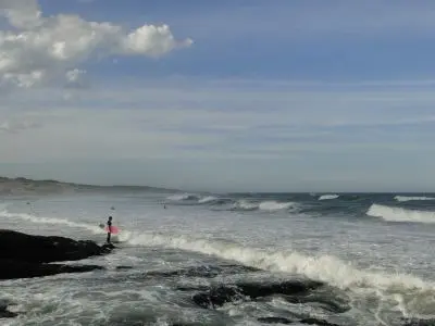 Surf en Rocha