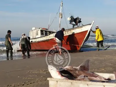 Pesca Artesanal - Punta del Diablo
