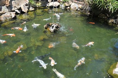 Jardines de Daymán - Termas - Salto
