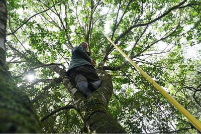 Las Sierras de Rocha tendrán un nuevo Sendero Autoguiado