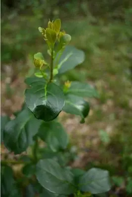 Sendero guiado - Sierras de Rocha