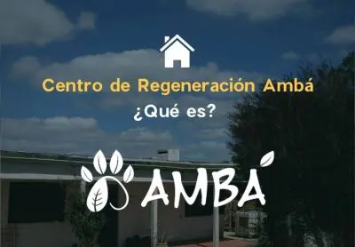 Experiencia Ambá - Centro de Regeneración