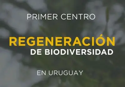 ONG - Ambá - Centro de Regeneración