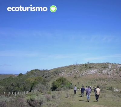 ONG - Ambá - Centro de Regeneración