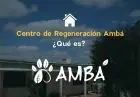 ONG - Ambá - Centro de Regeneración