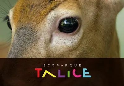 Ecoparque Talice