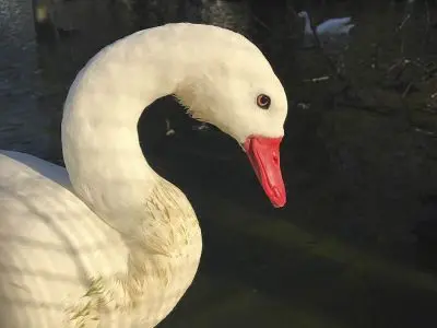 Ecoparque Tálice - Flores