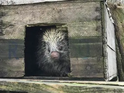 Ecoparque Tálice - Flores