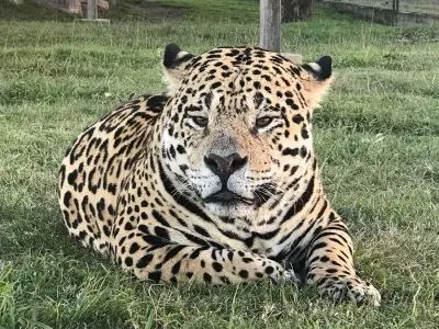 Ecoparque Tálice - Flores