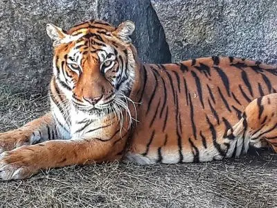 Ecoparque Tálice - Flores