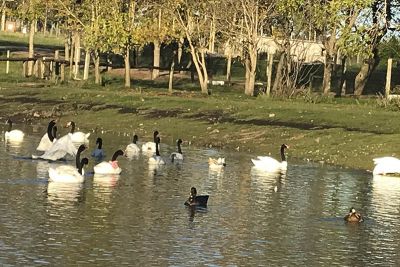 Ecoparque Tálice - Flores
