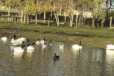 Ecoparque Tálice - Flores