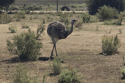 Ecoparque Tálice - Flores